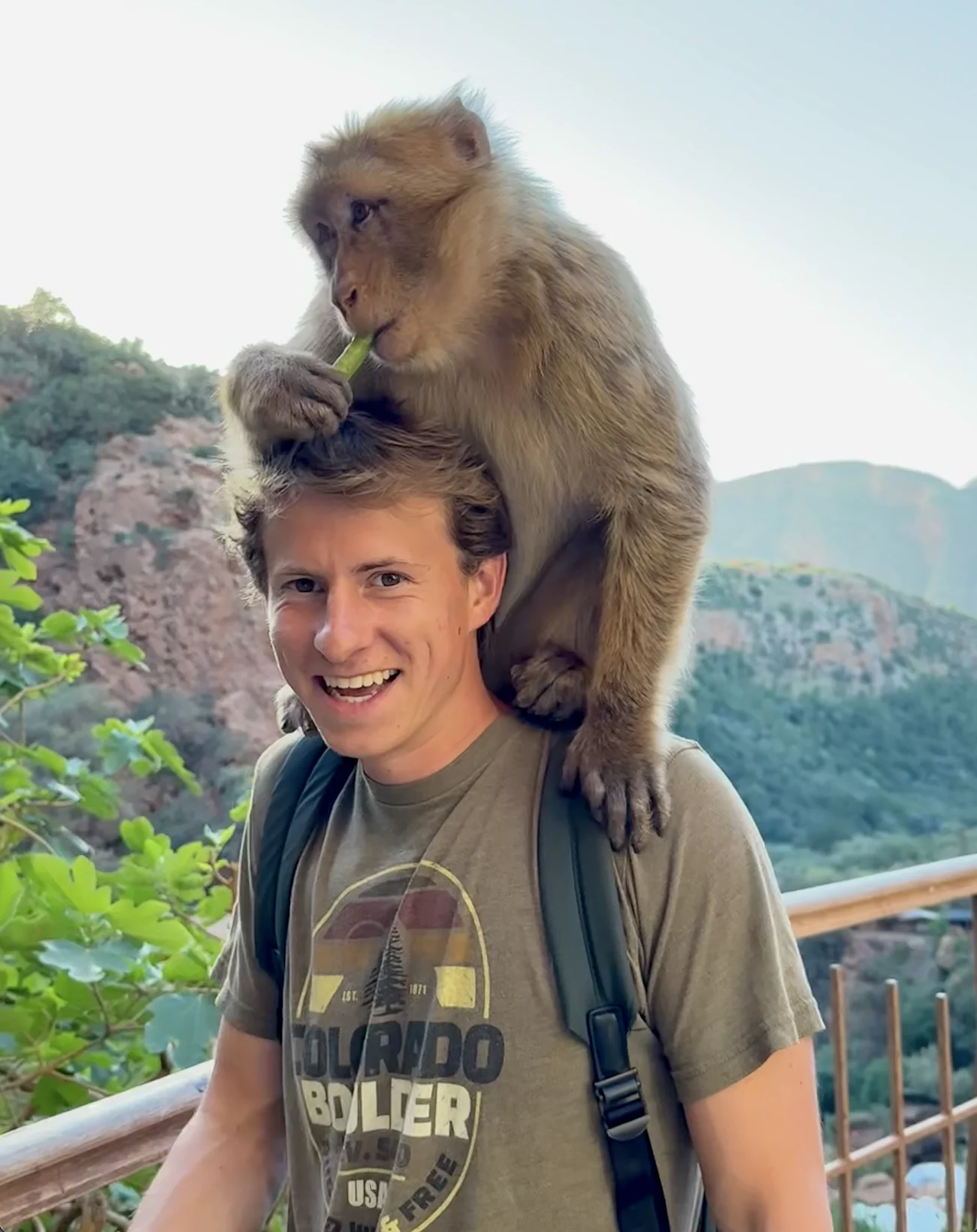 Bennett Carby, founder of Carby Logic, smiling with a monkey on his shoulders against the backdrop of the rolling mountains in Ait Taguella, Morocco.
